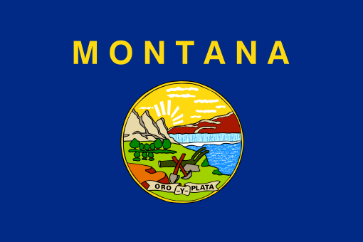 Montana State Flag 3' X 5'