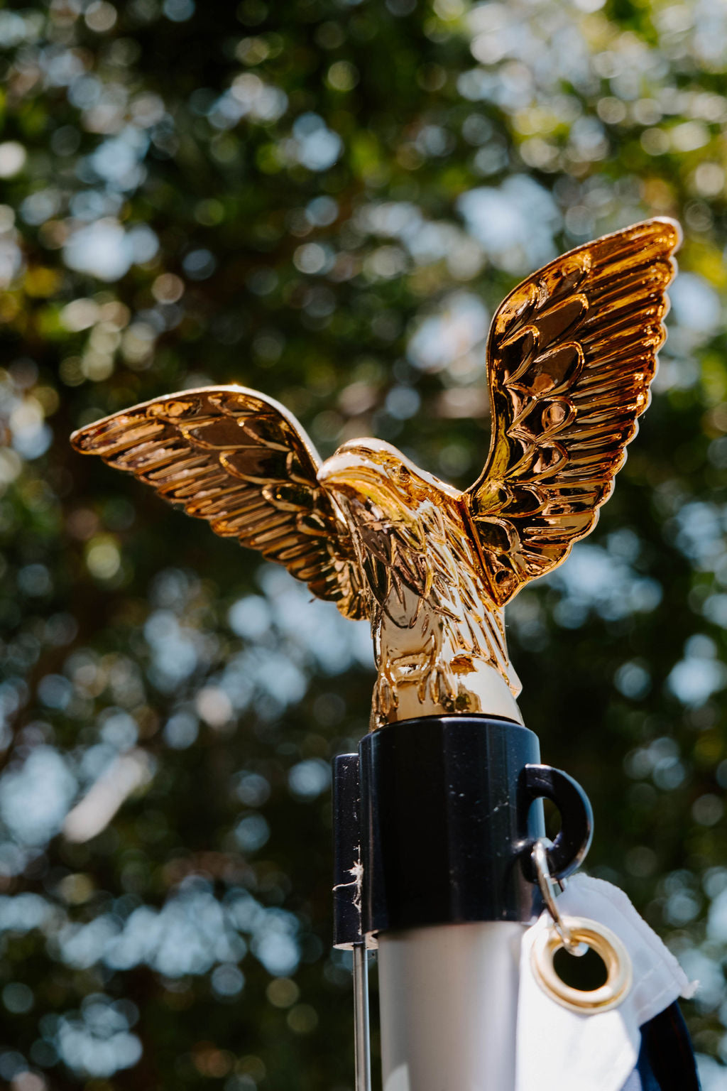 Eagle Cap (Three Piece)